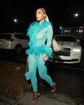 ITGIRLSOCIETY Mesh & Feather Trim Two-Piece Set