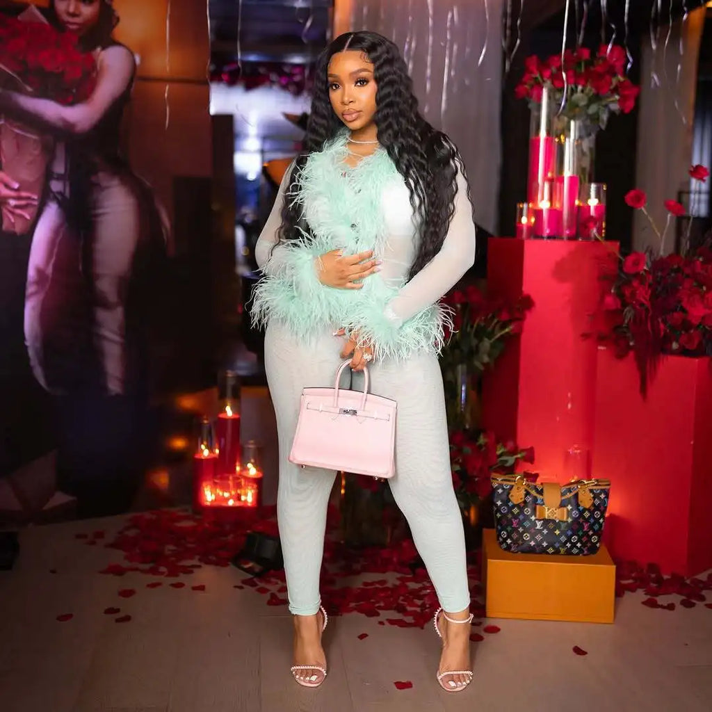 ITGIRLSOCIETY Mesh & Feather Trim Two-Piece Set
