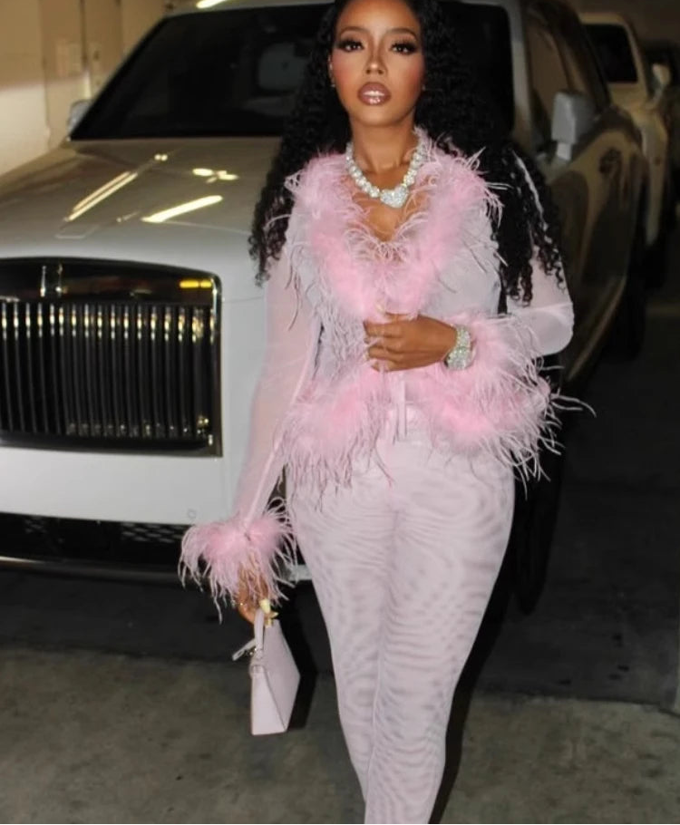 ITGIRLSOCIETY Mesh & Feather Trim Two-Piece Set